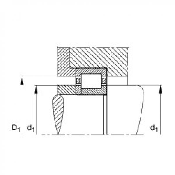 FAG bearing size chart nsk Cylindrical roller bearings - NUP221-E-XL-TVP2 #5 image