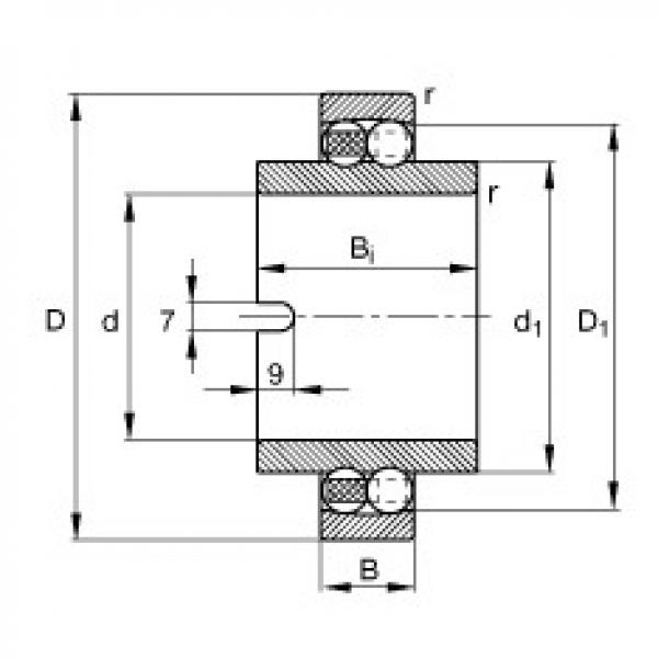 FAG bearing nachi precision 25tab 6u catalog Self-aligning ball bearings - 11206-TVH #4 image