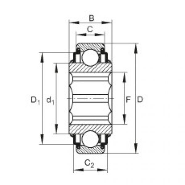 FAG bearing nachi precision 25tab 6u catalog Self-aligning deep groove ball bearings - SK100-206-KRR-AH11 #4 image