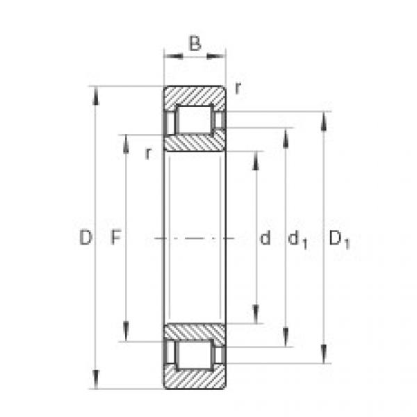 FAG nsk bearing series Cylindrical roller bearings - SL192307-XL #4 image
