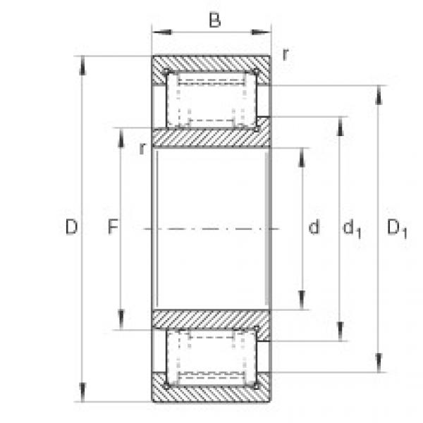 FAG skf bearing tables pdf Cylindrical roller bearings - ZSL192310 #4 image