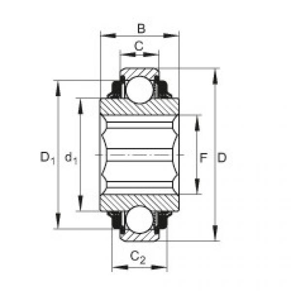 FAG корпус подшипника ina205 Self-aligning deep groove ball bearings - SK108-215-KTT-L402/70 #4 image