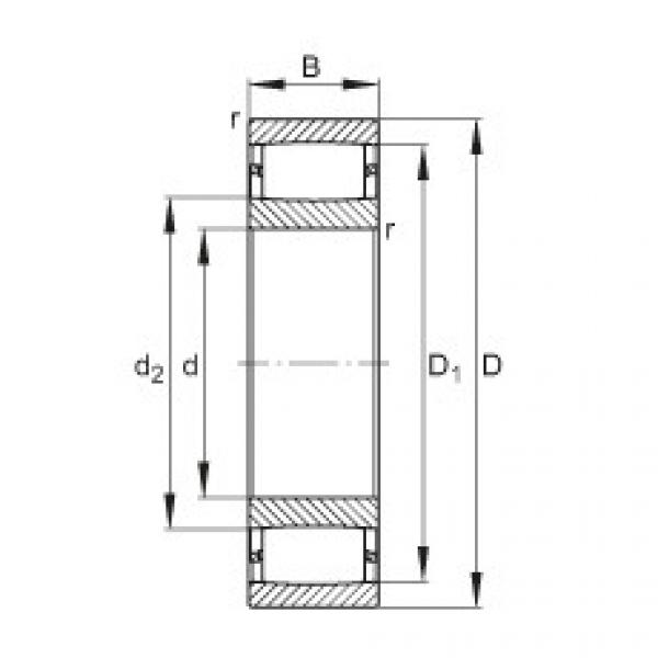 FAG ntn flange bearing dimensions Toroidal roller bearings - C3044-XL #3 image