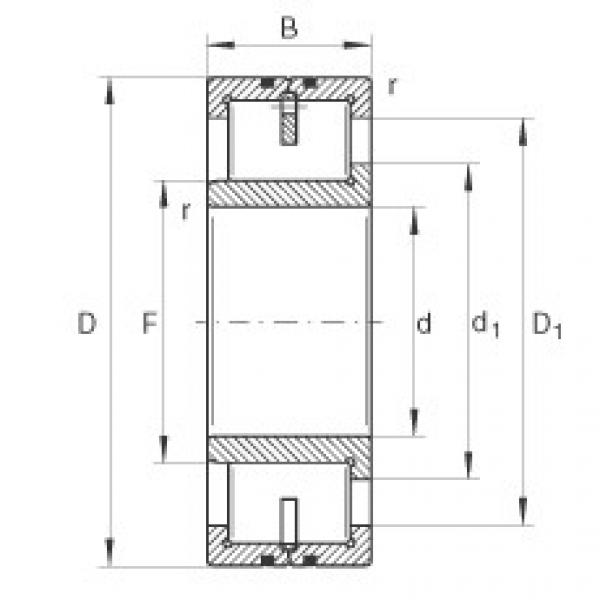 FAG bearing size chart nsk Cylindrical roller bearings - LSL192352-TB #4 image