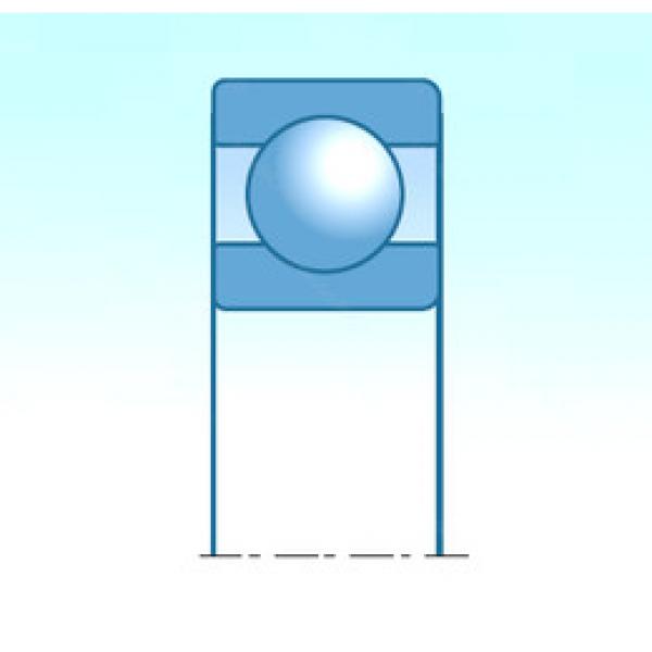 Bearing catalog 30BW05-G-5CA NSK #1 image