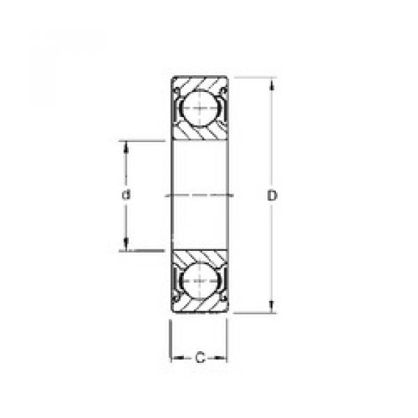 Bearing catalog 1614-ZZ CYSD #1 image