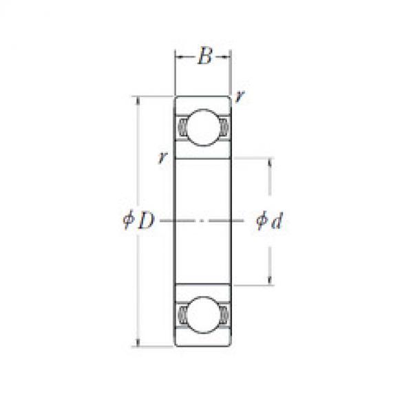 Bearing BEARING 1315 NTN 3D online catalog 6205L11ZZ  NSK    #5 image