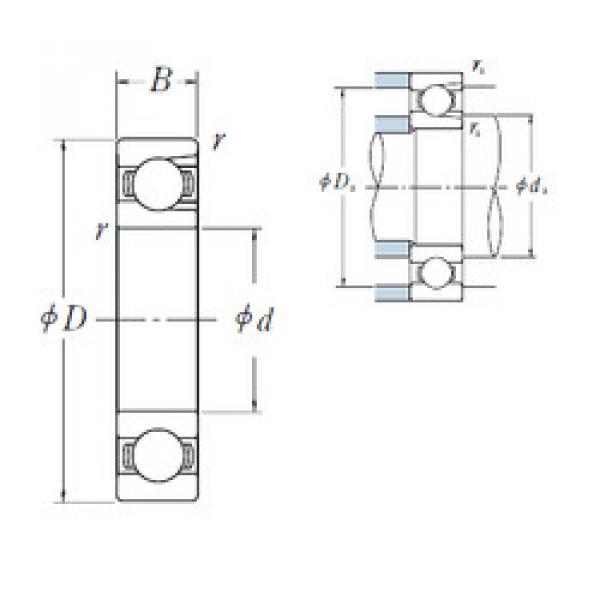 Bearing export BL  206  NSK   #5 image