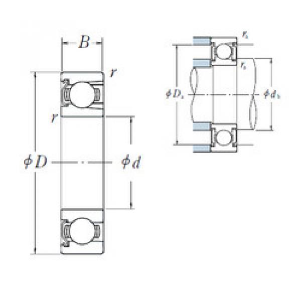 Bearing export BL  205  Z  NSK  #5 image