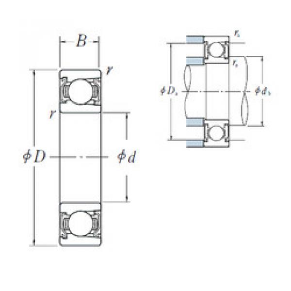 Bearing export BL  205  ZZ  NSK  #5 image