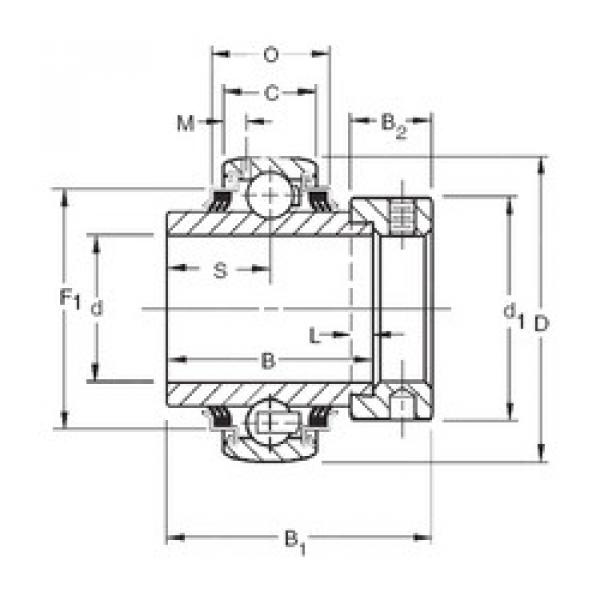 Bearing export G1013KPPB3  Timken    #5 image