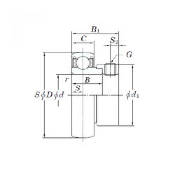 Bearing Original Brand SA203  KOYO    #5 image