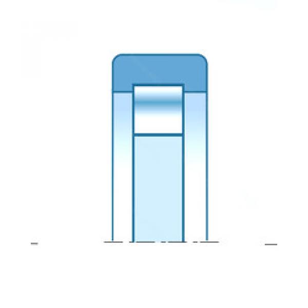 cylindrical bearing nomenclature RUS203 NTN #1 image