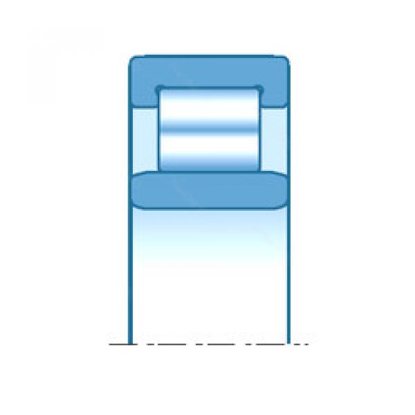 cylindrical bearing nomenclature P28-3C3 NSK #1 image