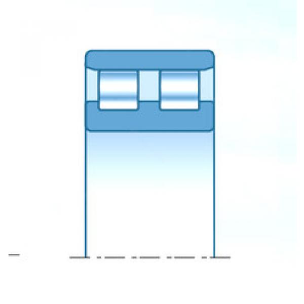 Cylindrical Bearing NN30/600C1NAP4 NTN #1 image