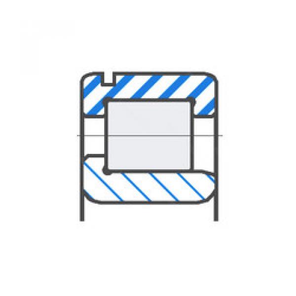 Cylindrical Roller Bearings 30RJ58S2C3 NACHI #1 image