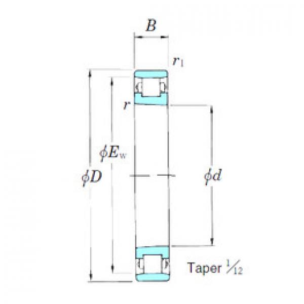 Cylindrical Roller Bearings 3NCN1009K KOYO #1 image