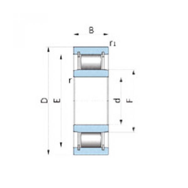 Cylindrical Roller Bearings 70081C3 KOYO #1 image