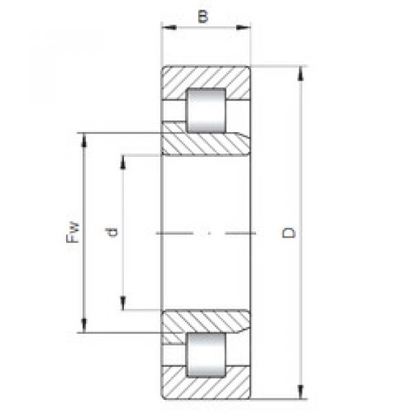 Cylindrical Bearing NJ1006 ISO #1 image