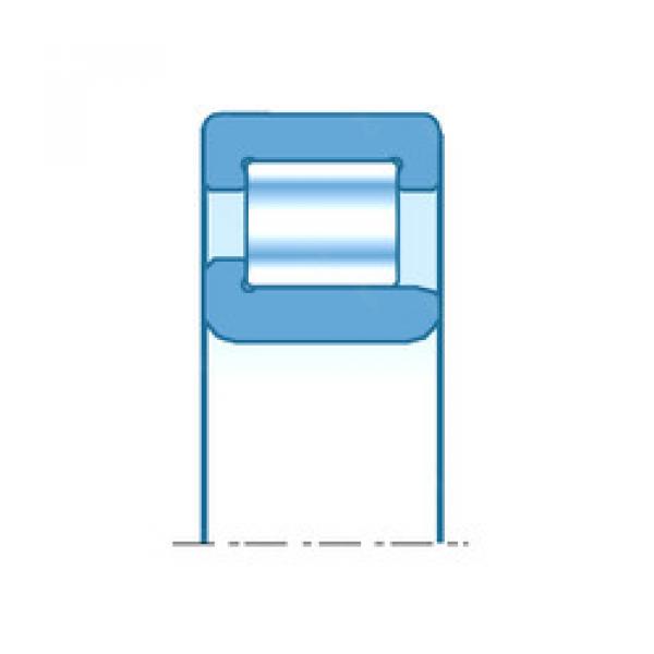 Cylindrical Bearing NJ220EM SNR #1 image