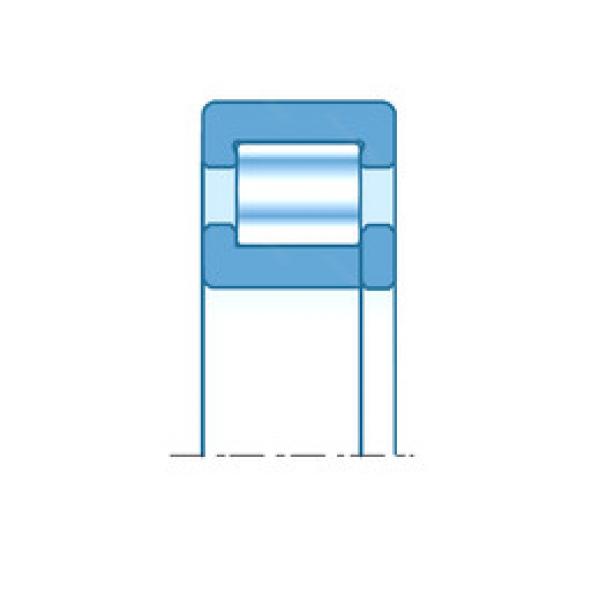 cylindrical bearing nomenclature NUP306 NTN #1 image