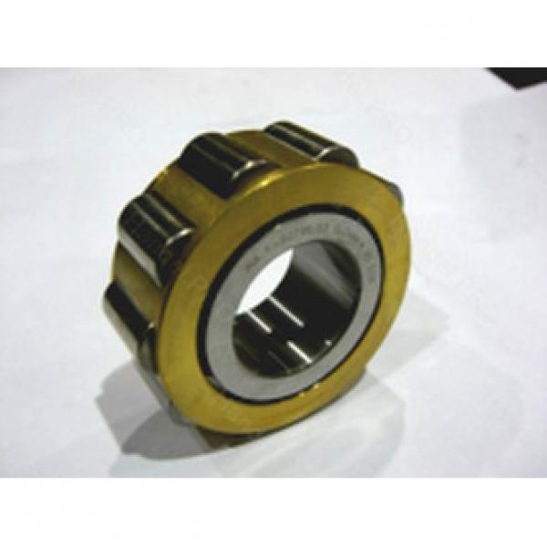 Cylindrical Roller Bearings F-80796 INA #1 image