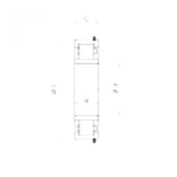 Cylindrical Roller Bearings F19015 Fersa #1 image