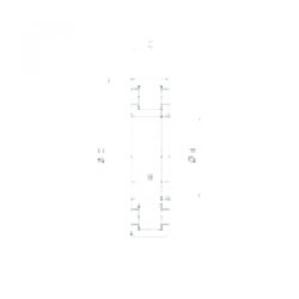 Cylindrical Roller Bearings F19006 Fersa #1 image