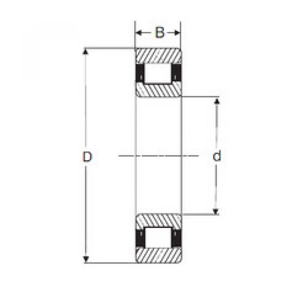 cylindrical bearing nomenclature RXLS 8E SIGMA #1 image