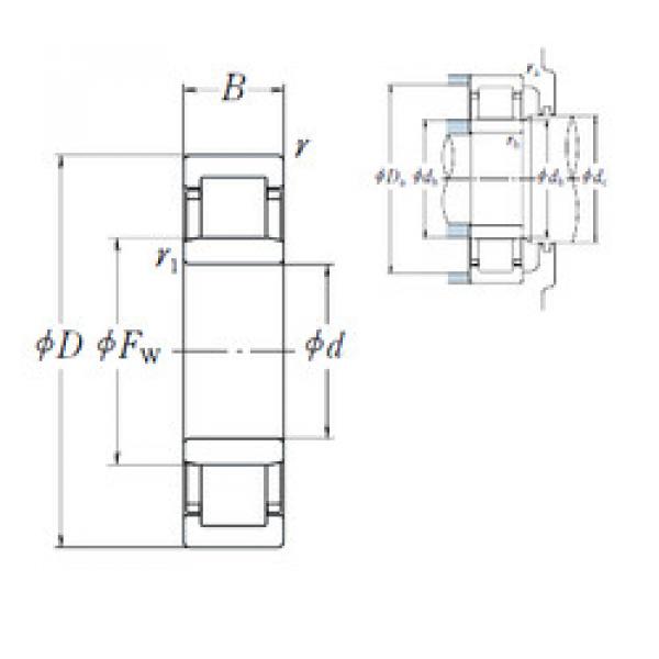 Cylindrical Roller Bearings Distributior NU 206 EW NSK #1 image