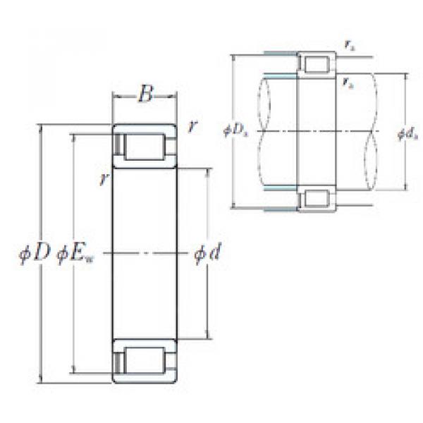 Cylindrical Bearing NCF2922V NSK #1 image