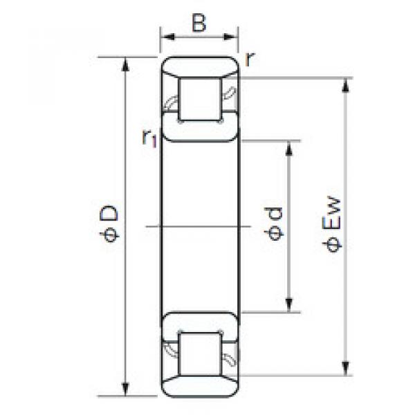 Cylindrical Roller Bearings N 1005 NACHI #1 image