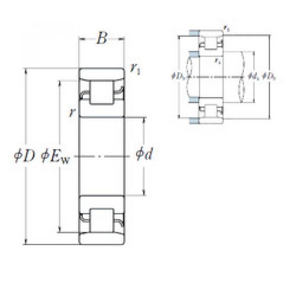 Cylindrical Roller Bearings N 204 NSK #1 image