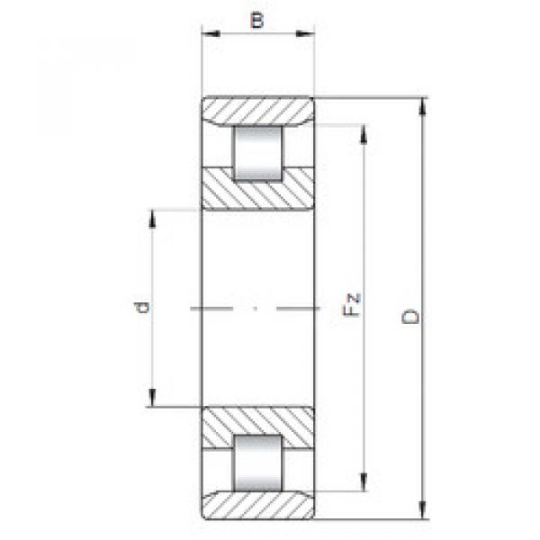 Cylindrical Roller Bearings N10/500 CX #1 image