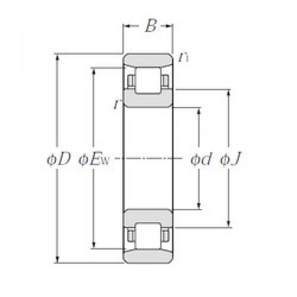 Cylindrical Roller Bearings N1006 NTN #1 image