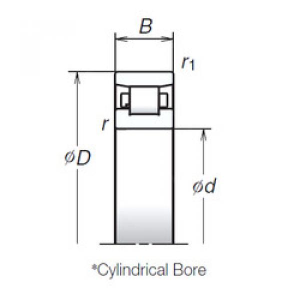 Cylindrical Roller Bearings N1012BMR1 NSK #1 image