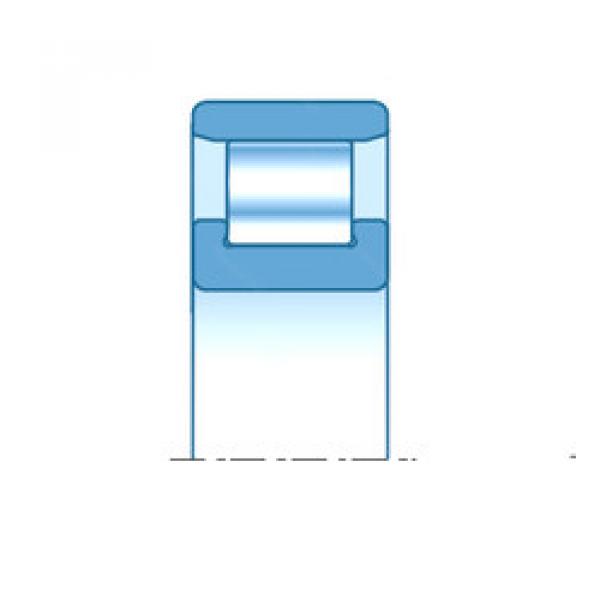 Cylindrical Roller Bearings N319E NTN #1 image