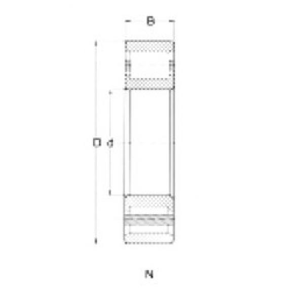 Cylindrical Roller Bearings N204 CRAFT #1 image