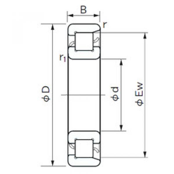 Cylindrical Bearing NF 10/500 NACHI #1 image