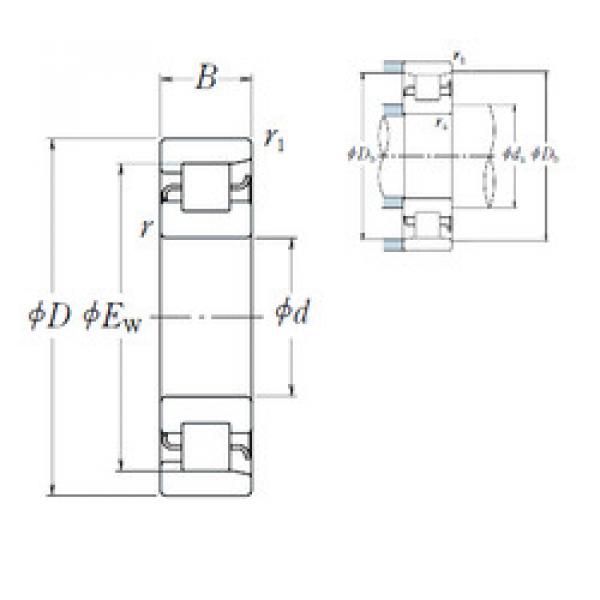 Cylindrical Bearing NF 204 NSK #1 image