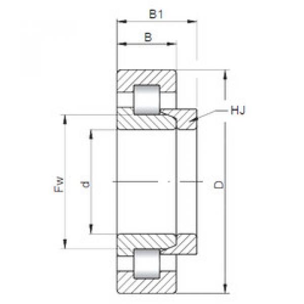 Cylindrical Bearing NH1036 CX #1 image