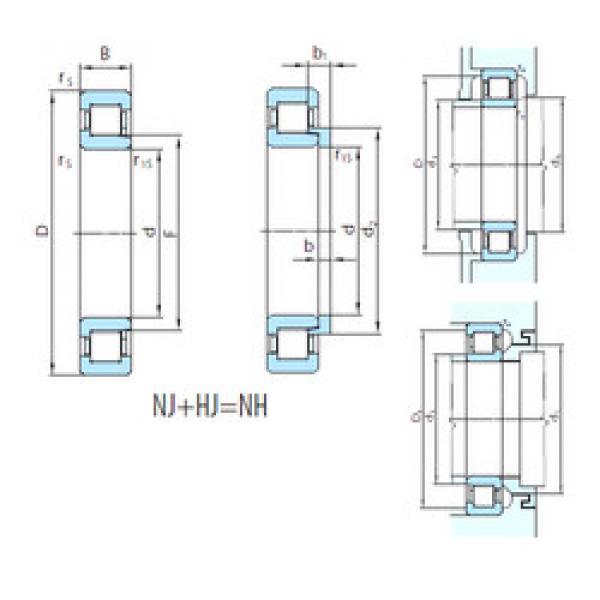 Cylindrical Bearing NH248 PSL #1 image