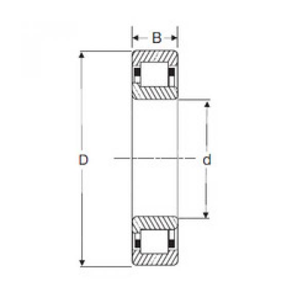 Cylindrical Bearing NJ 209 SIGMA #1 image