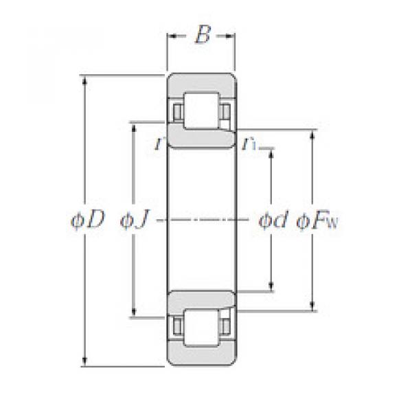 Cylindrical Bearing NJ1006 NTN #1 image