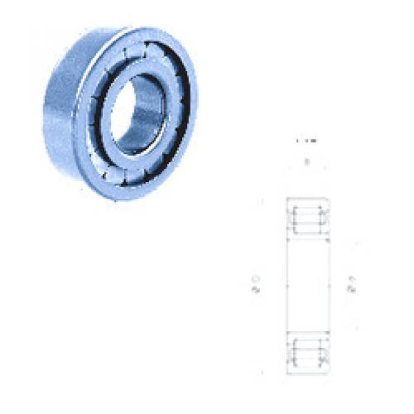 Cylindrical Bearing NJ210FM/C3 Fersa #1 image