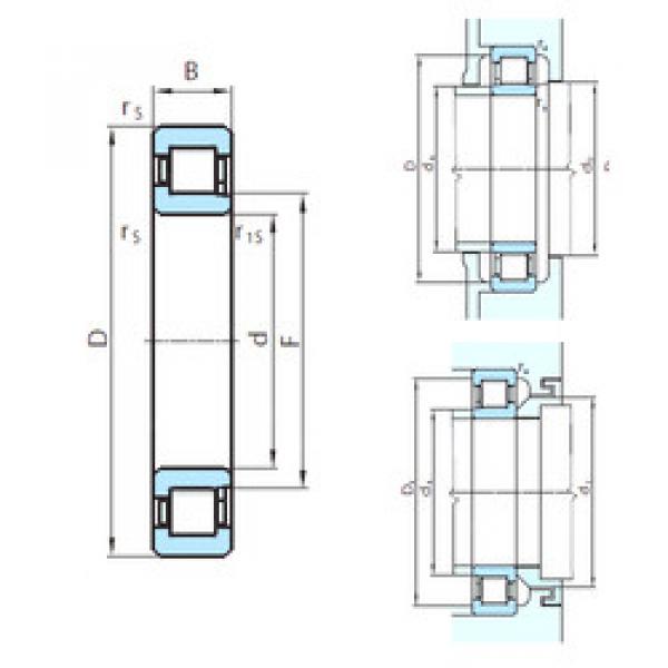 Cylindrical Bearing NJ248 PSL #1 image