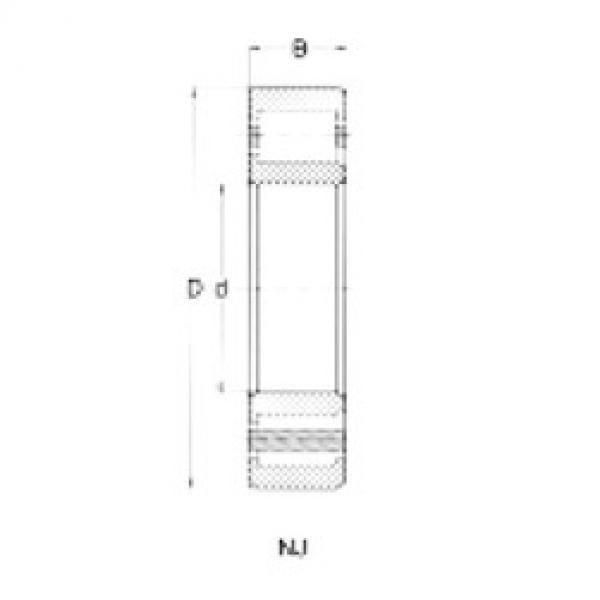 Cylindrical Bearing NJ205 CRAFT #1 image