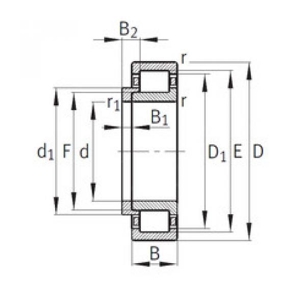 Cylindrical Bearing NJ206+HJ206 CYSD #1 image