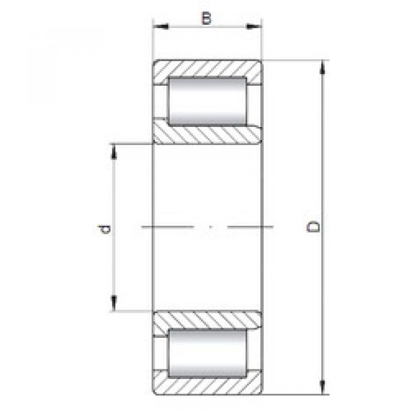 Cylindrical Bearing NJF2308 V CX #1 image