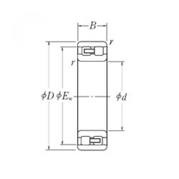 Cylindrical Bearing NN 3005 NSK #1 image